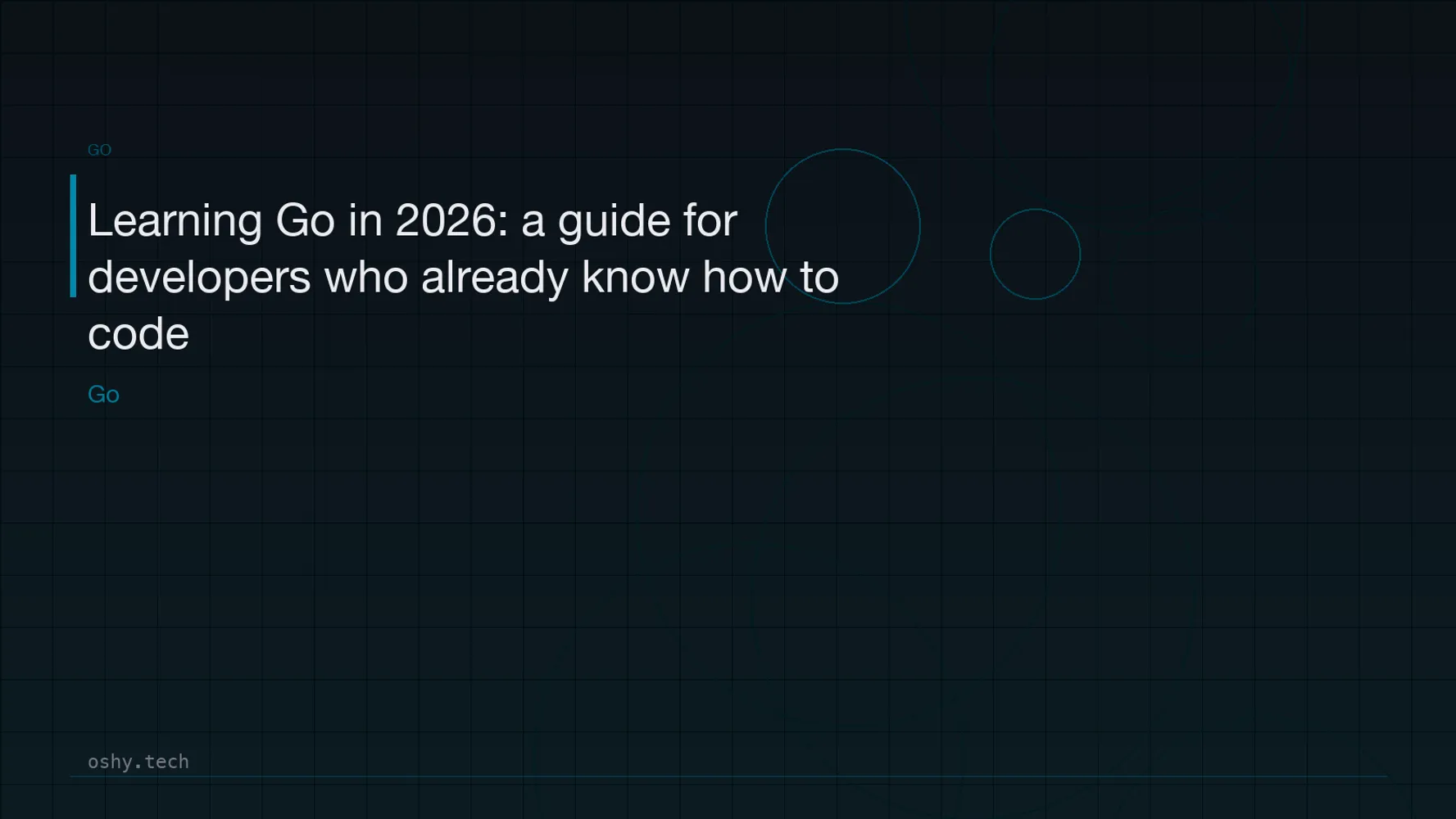 Cover for Learning Go in 2026: a guide for developers who already know how to code