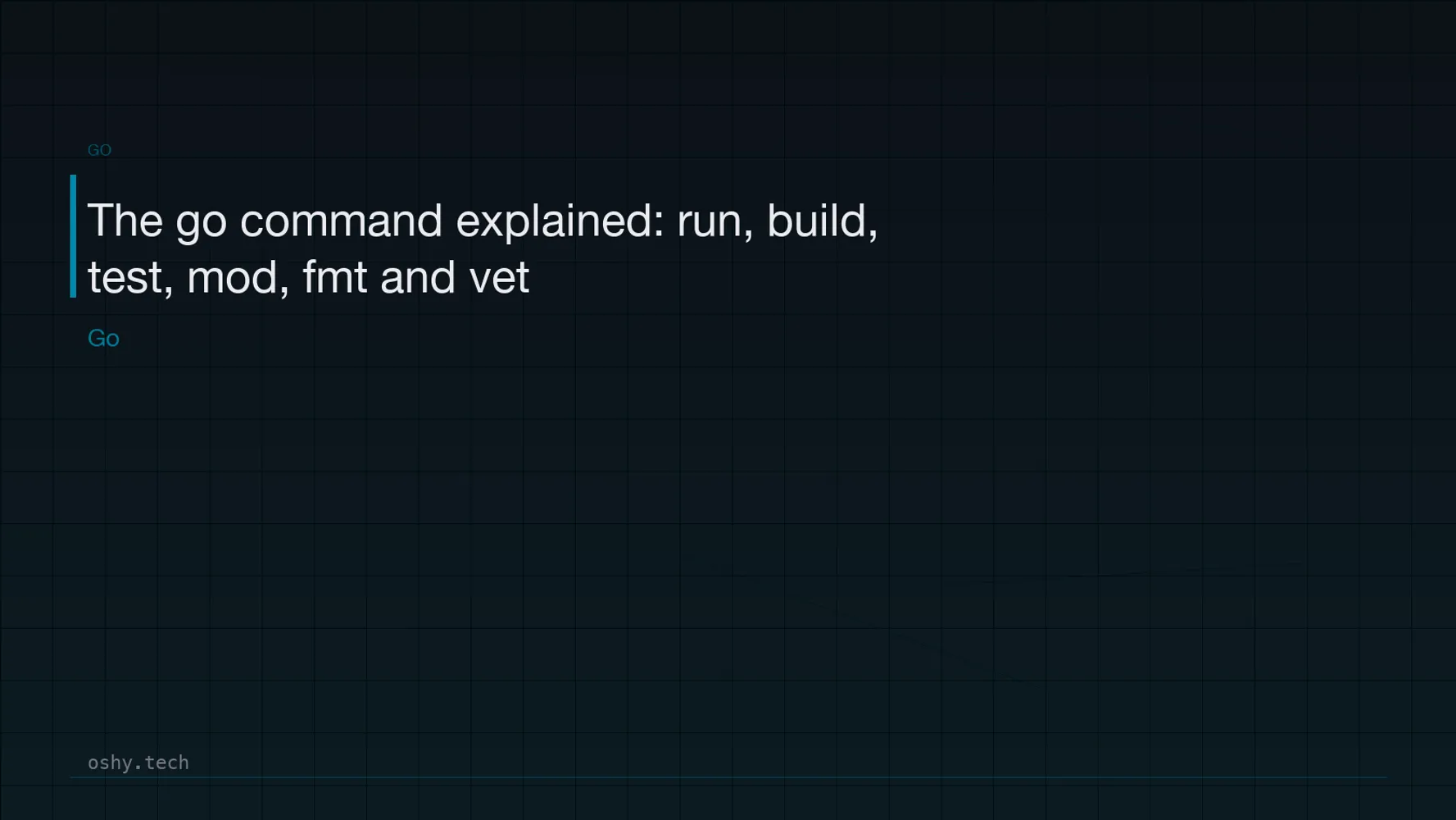 Cover for The go command explained: run, build, test, mod, fmt and vet